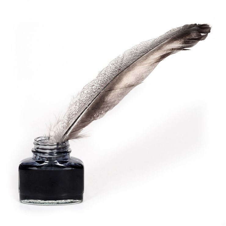 Turkey Feather Quill Pen with nib to dip into ink